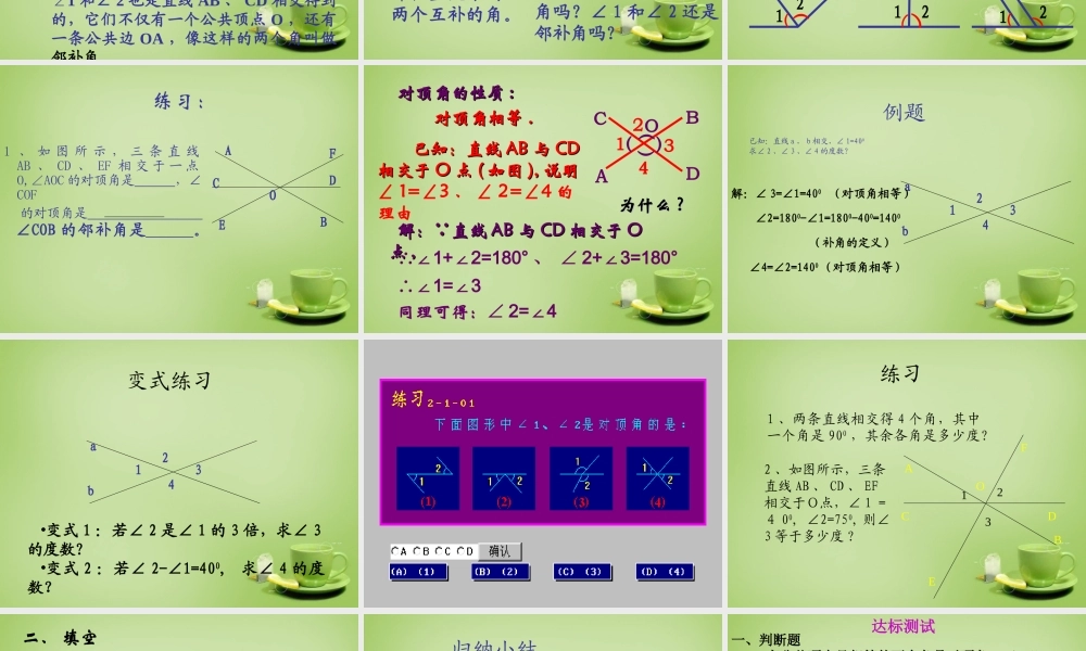 新疆哈密市第九中学七年级数学下册 5.1.1 相交线课件 (新版)新人教版