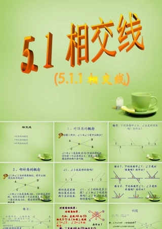 新疆哈密市第九中学七年级数学下册 5.1.1 相交线课件 (新版)新人教版