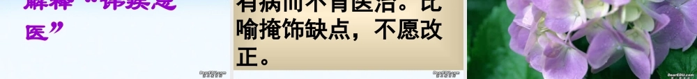 扁鹊见蔡桓公 课件示例三 课件