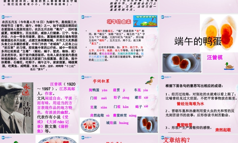 八年级语文下册 17(端午的鸭蛋)课件1 新人教版 课件
