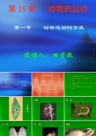 八年级生物 第15章 动物的运动课件 北师大版 课件