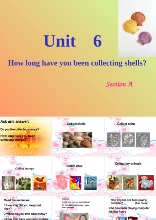 八年级英语 Unit6 How long have you been collecting shells课件