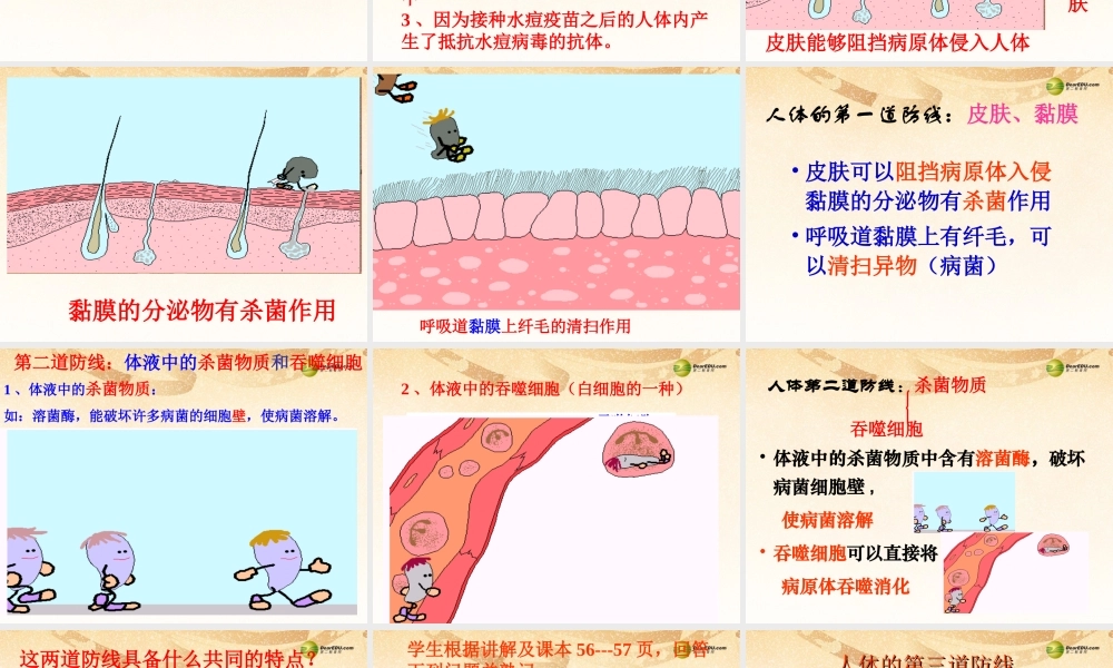 八年级生物下册 第八单元 1.2 免疫与计划免疫课件 新人教版 课件