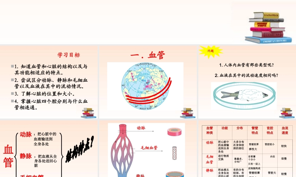 七年级生物物下册 质运输的器官课件 济南版 课件