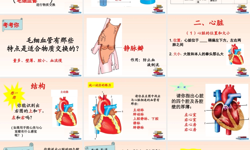 七年级生物物下册 质运输的器官课件 济南版 课件
