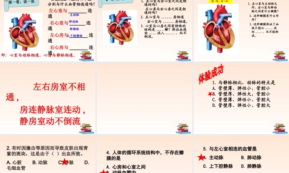 七年级生物物下册 质运输的器官课件 济南版 课件
