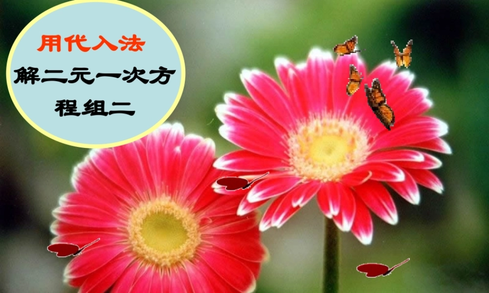 七年级数学下消元法的第二课时课件 新人教版 课件