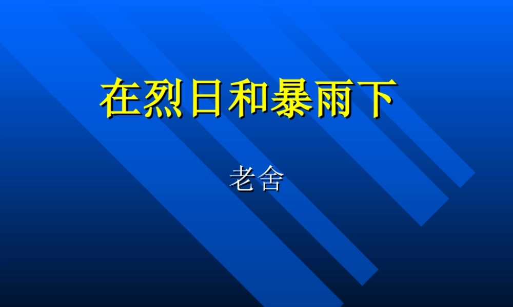 九年级语文苏教版上册 在烈日和暴雨下 PPT 课件