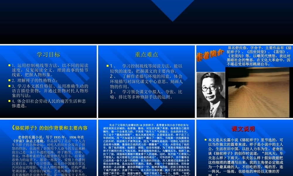 九年级语文苏教版上册 在烈日和暴雨下 PPT 课件