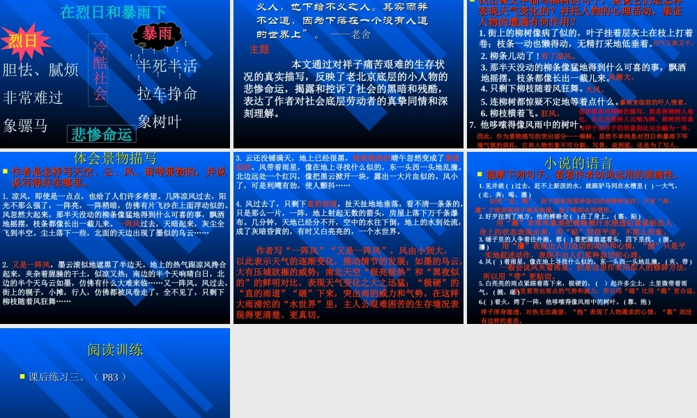 九年级语文苏教版上册 在烈日和暴雨下 PPT 课件