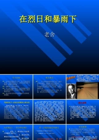 九年级语文苏教版上册 在烈日和暴雨下 PPT 课件