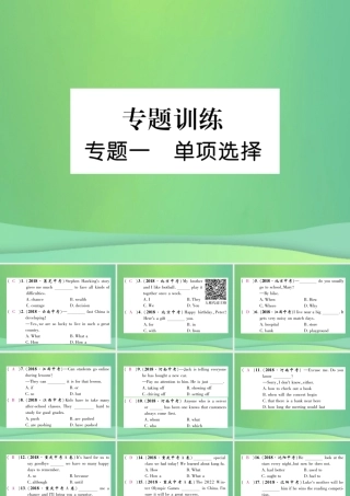 九年级英语全册 专题训练 专题1 单项选择课件 (新版)人教新目标版 课件
