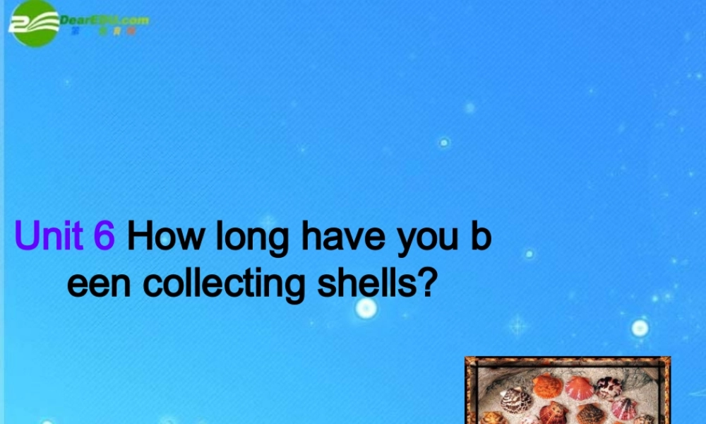 八年级英语下册 unit6 How long have you been collecting shells  sectionA课件 人教新课标版 课件