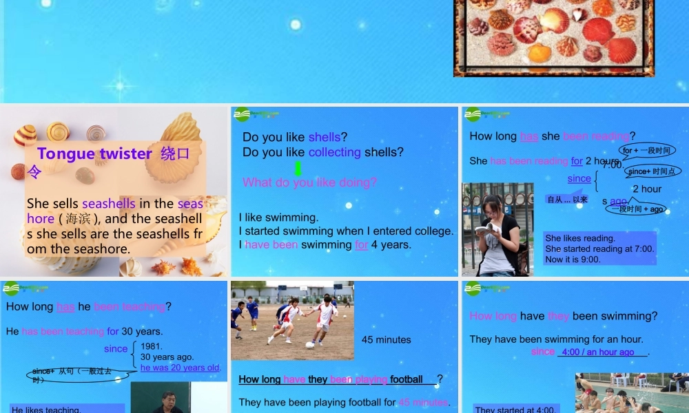 八年级英语下册 unit6 How long have you been collecting shells  sectionA课件 人教新课标版 课件