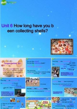 八年级英语下册 unit6 How long have you been collecting shells  sectionA课件 人教新课标版 课件
