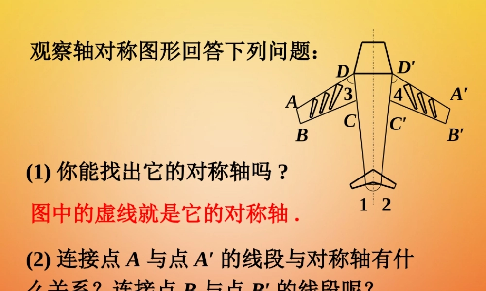 七年级数学下册 5.2 探索轴对称的性质 飞机的轴对称性做一做素材 (新版)北师大版 素材