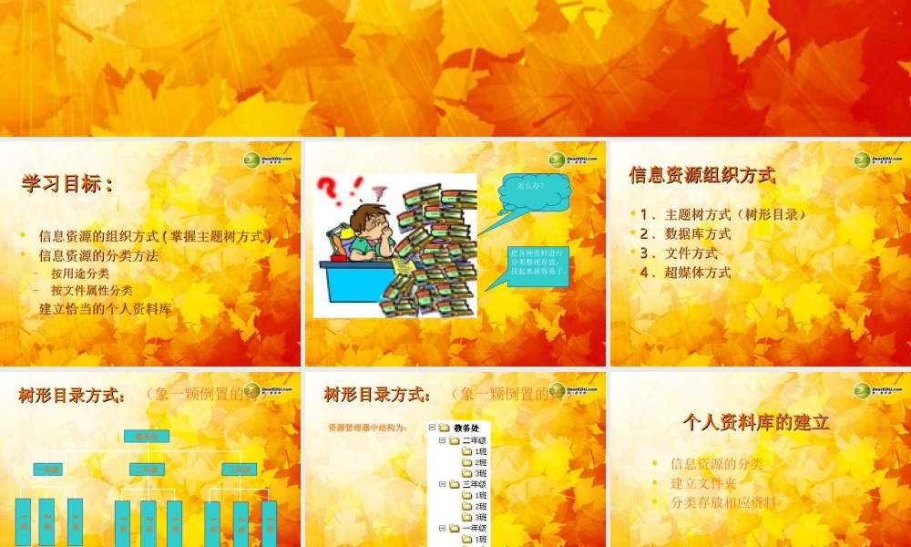 四川省七年级信息技术下册 第14课(建立个人资料库)课件 新人教版 课件