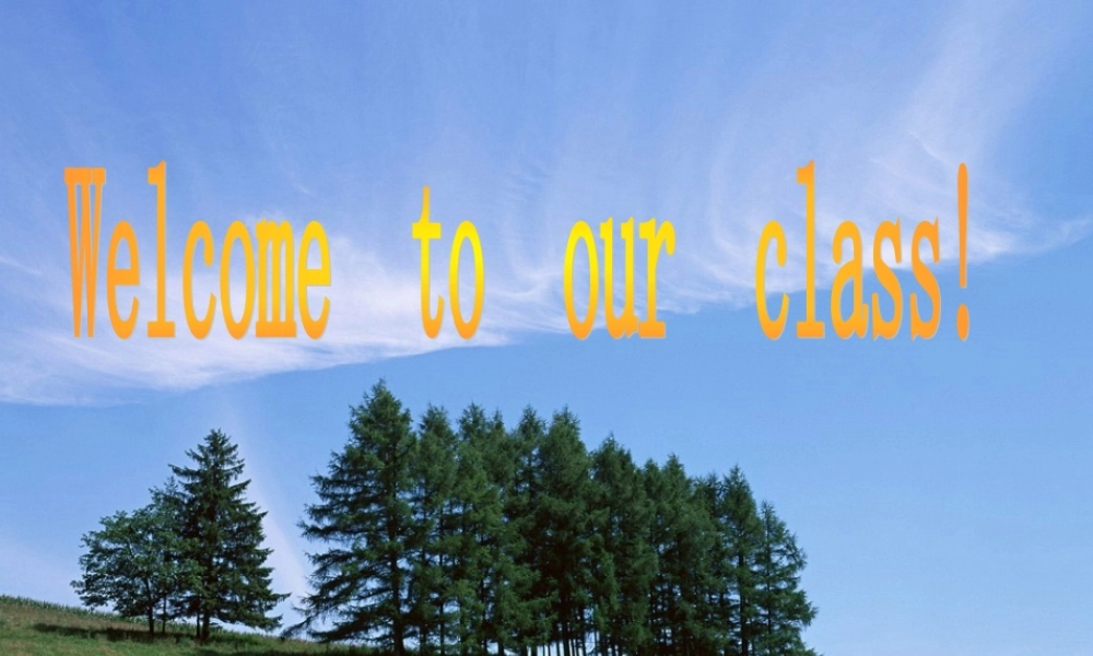 九年级英语 reading 课件 人教新目标版 课件