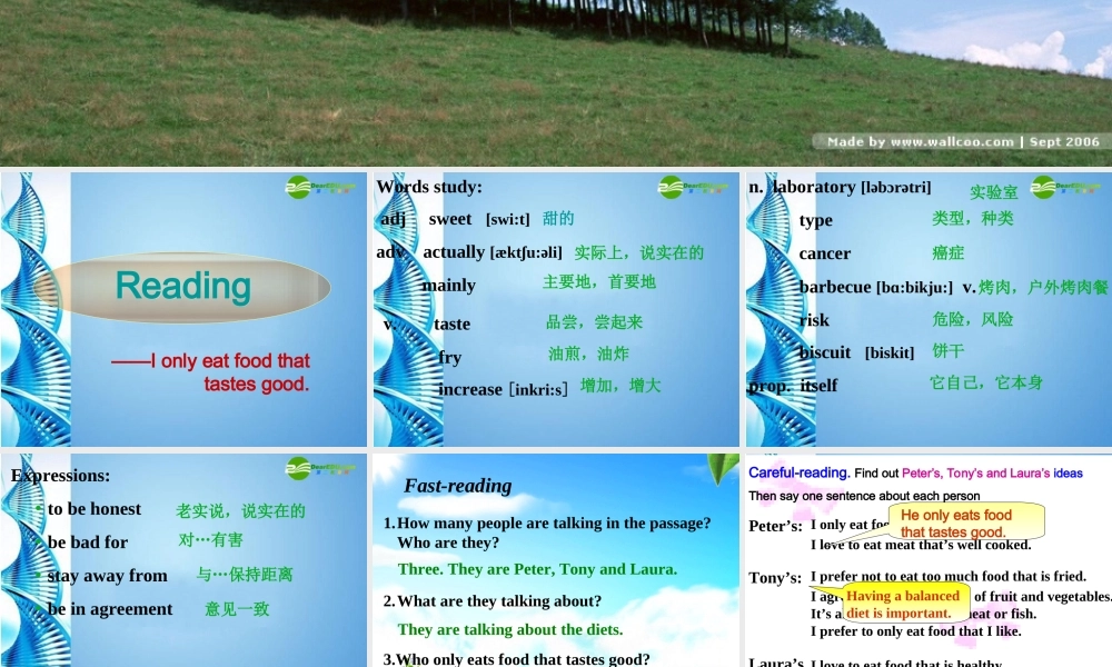 九年级英语 reading 课件 人教新目标版 课件