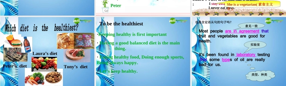 九年级英语 reading 课件 人教新目标版 课件