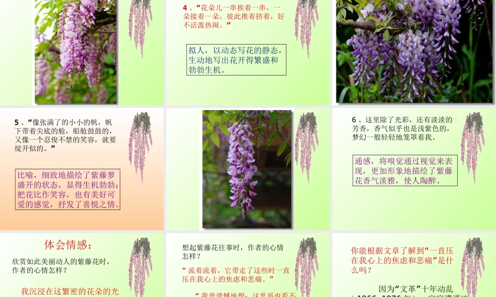 《紫藤萝瀑布》模本1