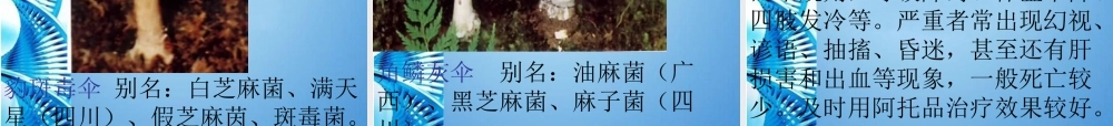 七年级生物下册 第三单元第一章第三节合理膳食与食品安全课件 济南版  课件