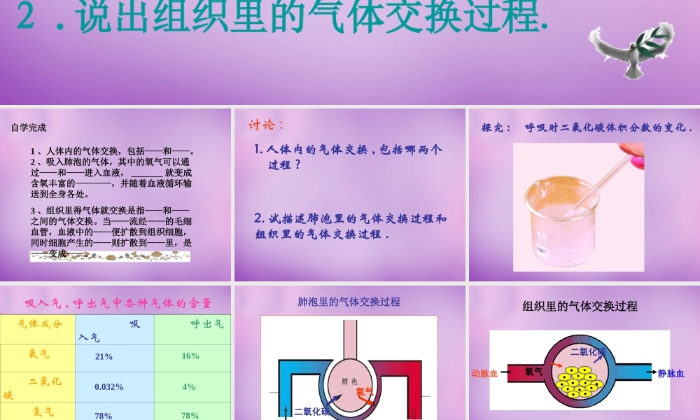 中学七年级生物下册 10.4 人体内的气体交换课件 苏教版 课件