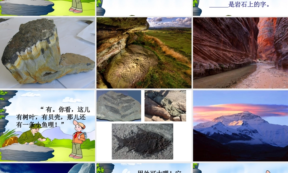 《最大的“书”》教学课件