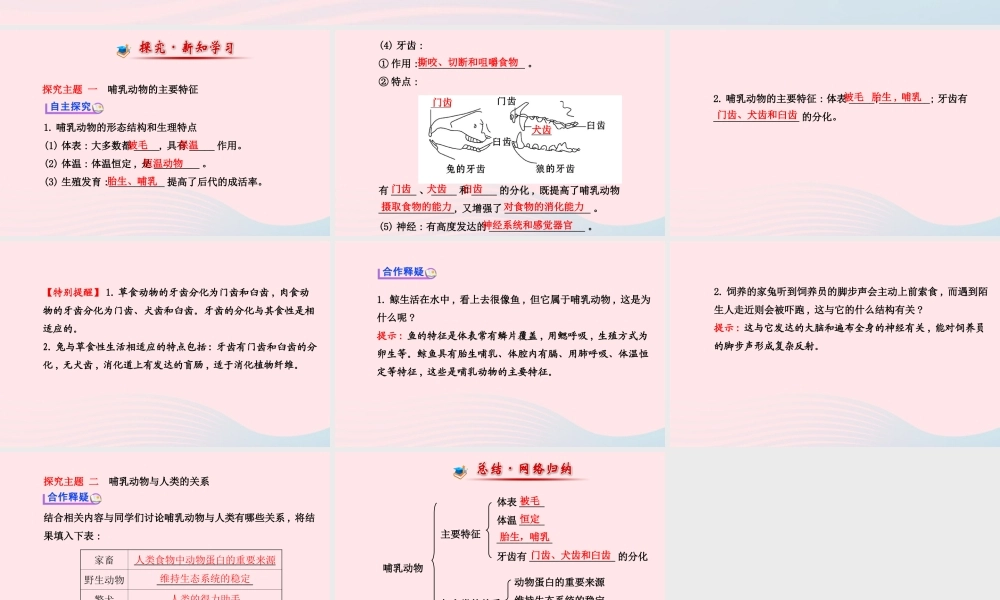 八年级生物上册 第五单元 第一章 第七节 哺乳动物课件 (新版)新人教版 课件