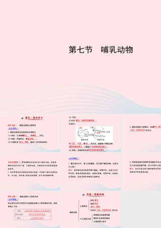 八年级生物上册 第五单元 第一章 第七节 哺乳动物课件 (新版)新人教版 课件