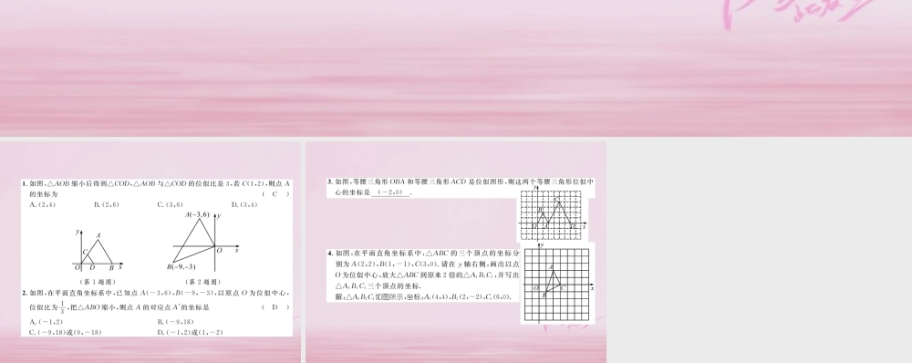 九年级数学上册 36 位似(第2课时)坐标系中的位似图形练习课件 (新版)湘教版 课件