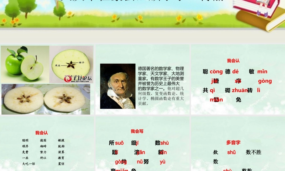《聪明的小高斯》