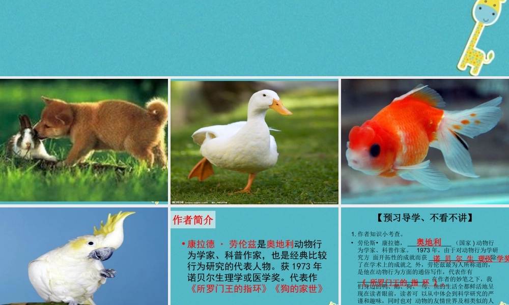 七年级语文上册 第五单元 第19课(动物笑谈)课件 新人教版 课件