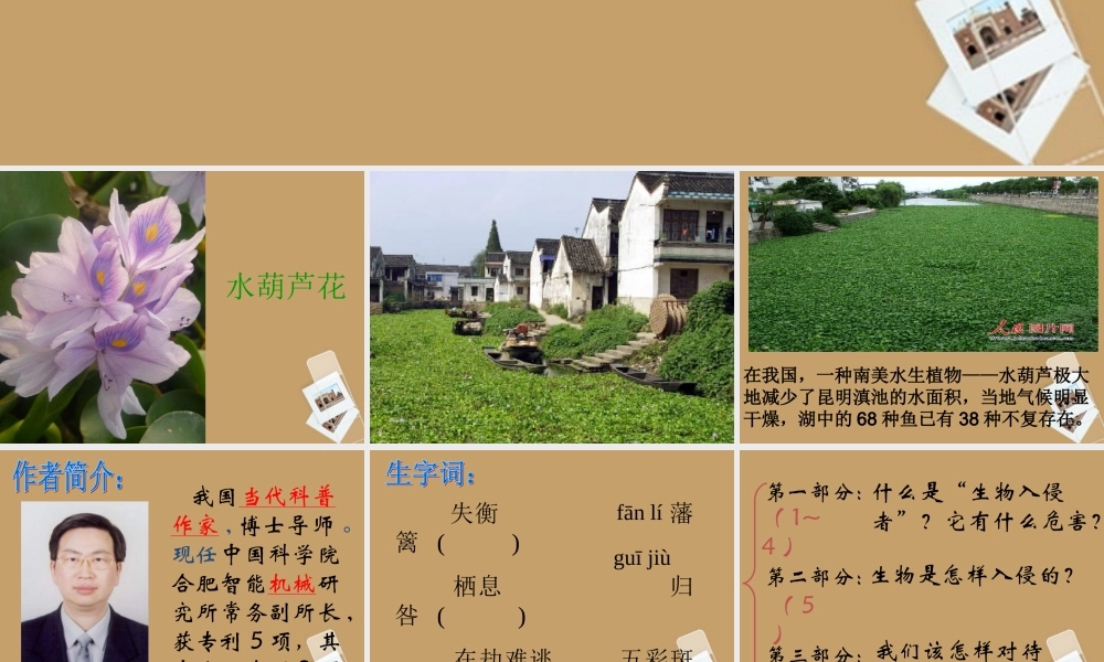 中学八年级语文上册(生物入侵者)课件 新人教版 课件