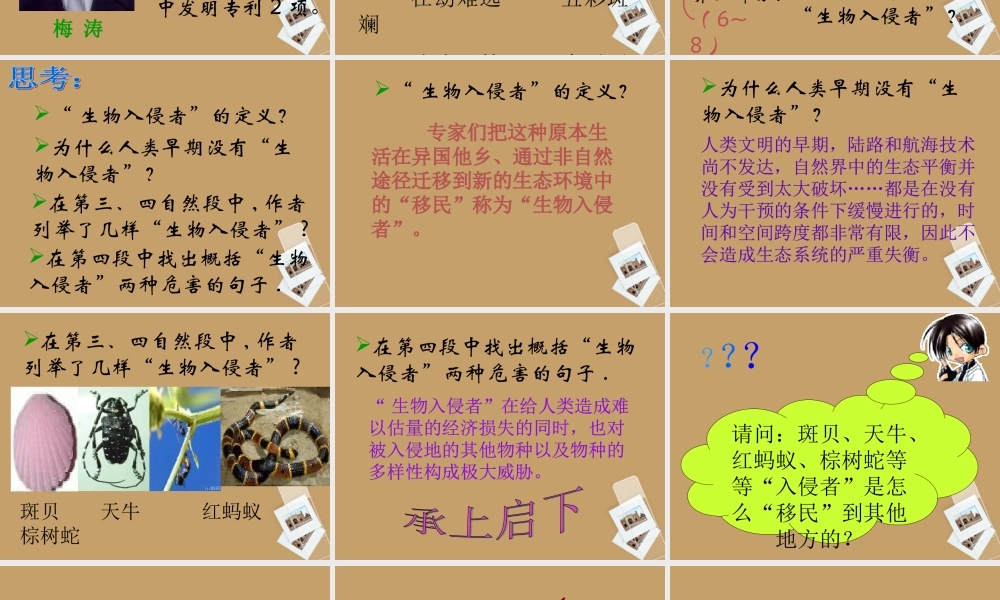 中学八年级语文上册(生物入侵者)课件 新人教版 课件