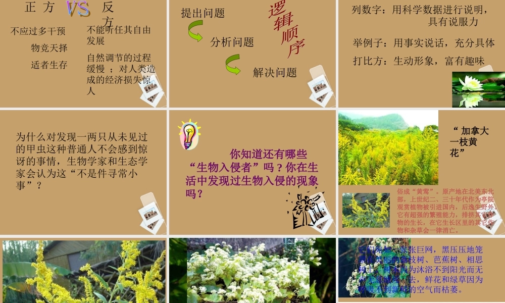 中学八年级语文上册(生物入侵者)课件 新人教版 课件