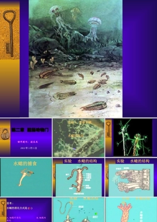 八年级生物 第二章腔肠动物门课件