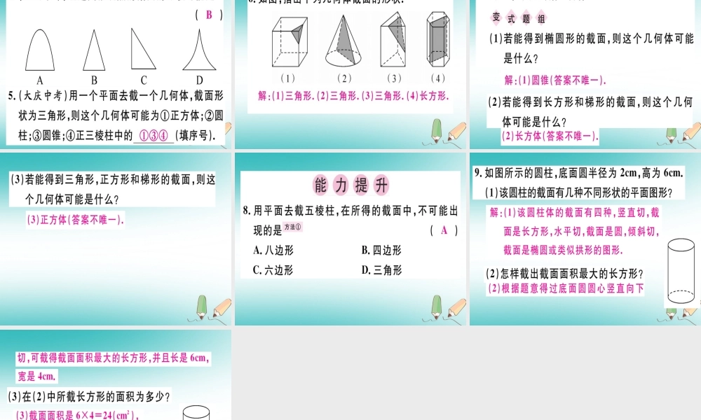广东省秋七年级数学上册 第一章 丰富的图形世界 第5课时 截一个几何体习题课件 (新版)北师大版 课件