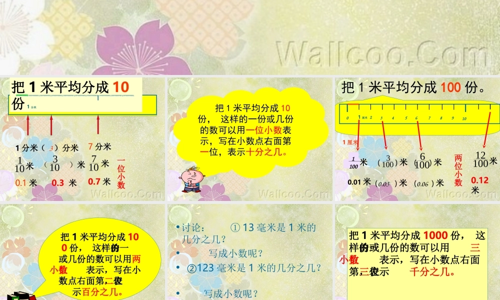 小数的产生和意义 (2)