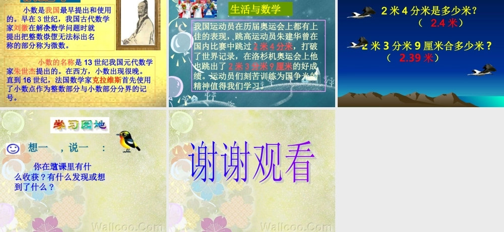 小数的产生和意义 (2)