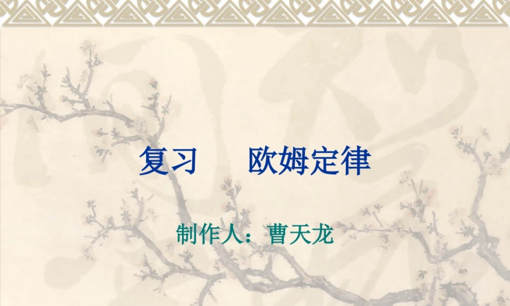 复习欧姆定律 (2)