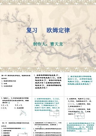 复习欧姆定律 (2)