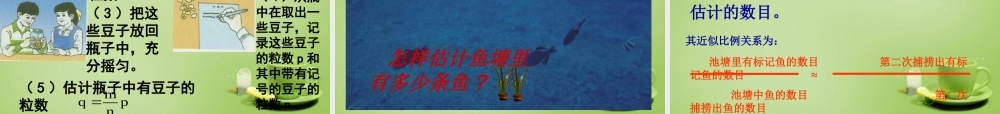 中学七年级数学下册 10.1.3 统计调查 随机抽样课件 (新版)新人教版 课件