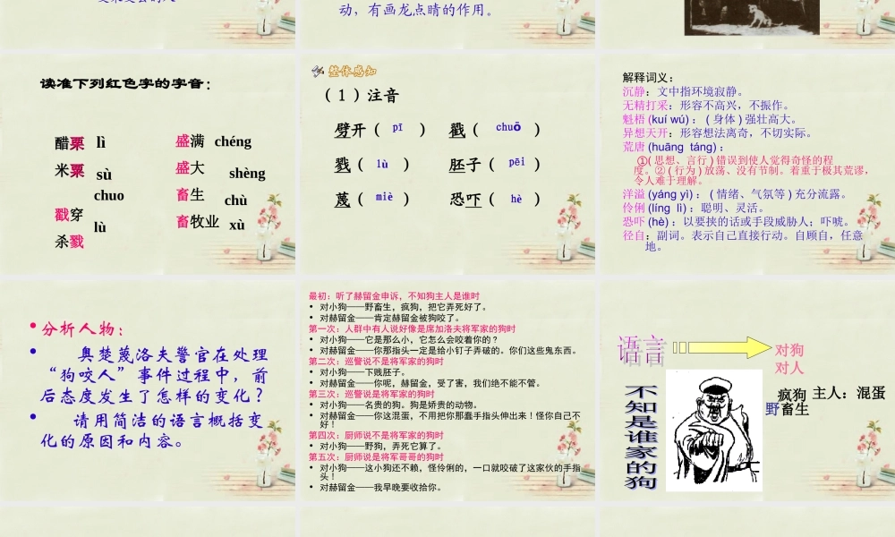 九年级语文上册 第五单元 第19课(变色龙)课件 北京课改版 课件