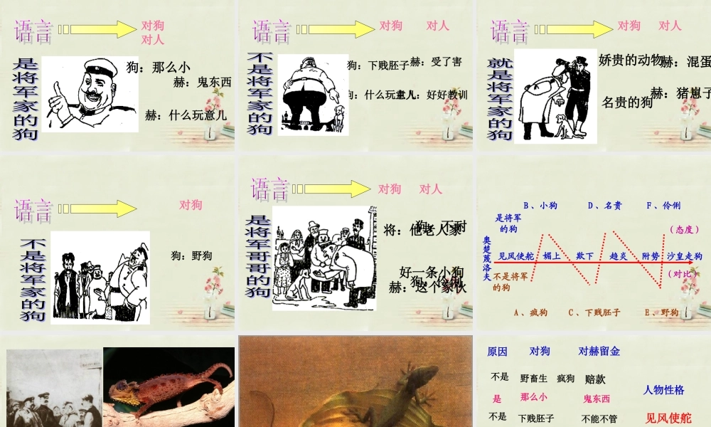 九年级语文上册 第五单元 第19课(变色龙)课件 北京课改版 课件