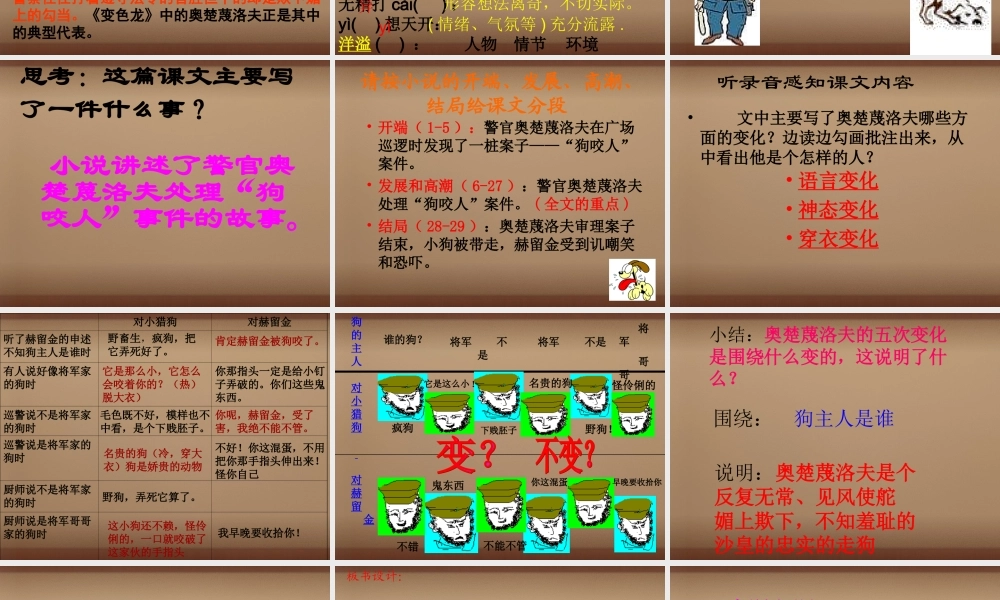 中学九年级语文下册 7(变色龙)课件 新人教版 课件