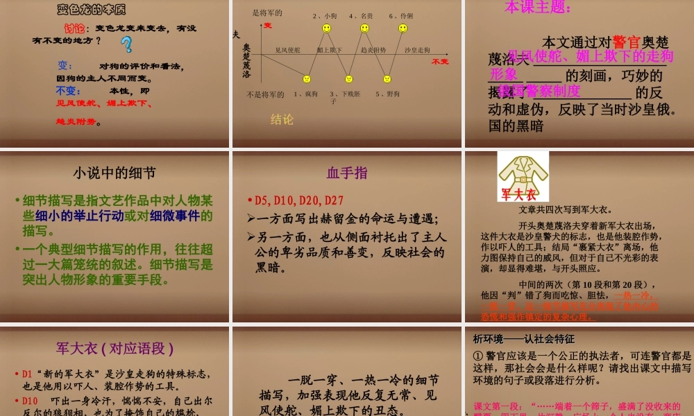 中学九年级语文下册 7(变色龙)课件 新人教版 课件