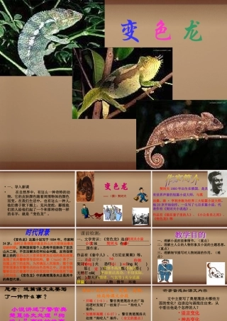 中学九年级语文下册 7(变色龙)课件 新人教版 课件