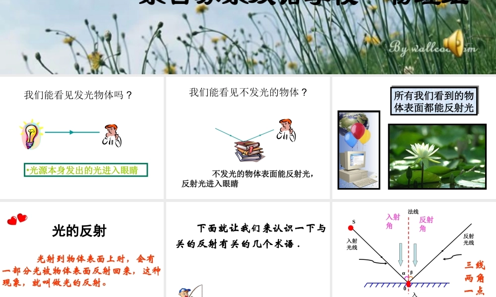 八年级物理上册 光的反射 ppt 课件