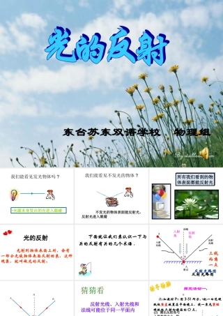 八年级物理上册 光的反射 ppt 课件